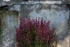 243572216_463760721437301_5019416857198466861_n