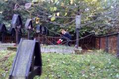 243841637_1681379825401393_3834999113123533178_n