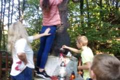 244255536_385892216546293_972834531277736805_n