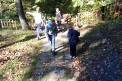 244315276_187950953453438_7418946544217462979_n