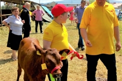 WhatsApp-Image-2019-06-02-at-16.03.44-2