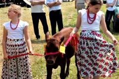 WhatsApp-Image-2019-06-02-at-17.42.39-2