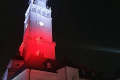 signal-2022-11-05-195357_005