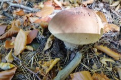 280766705_676036320605399_4357404709233884178_n