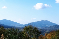 310015329_880426709524503_7571257578988016911_n