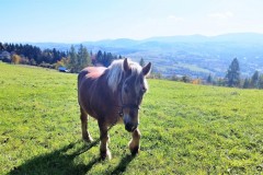 310922970_827552085340337_7832663183117580901_n