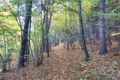 311155858_1517299495366364_4330511383784803073_n