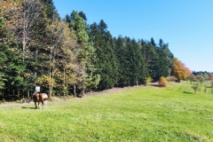 311433530_670831037722969_3588736635777310816_n