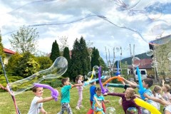 629a099b41de3_o_large