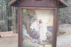 WhatsApp-Image-2025-04-13-at-20.27.47-1