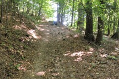 17-Droga-do-krzyża-Paproć-009