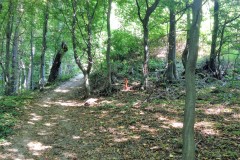 23-Droga-do-krzyża-Paproć-003