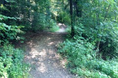 3-Droga-do-krzyża-Paproć-023