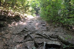 8-Droga-do-krzyża-Paproć-018-1