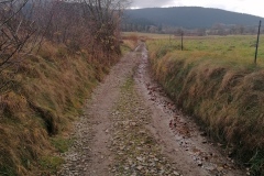 IMG_20201120_114744_resized_20201120_114920025