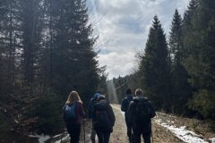 8d4a68f5-415b-45ff-b104-2de84bb53b47