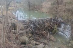 c481d0c0-d936-448c-aa35-aac99c72fdfc