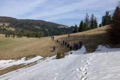 e7e8f317-e9d6-4394-9c90-68f328376c6e