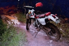 130141490_954996081699556_7150519524787540776_n