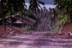 130248936_533178804318020_2849804713924018428_n