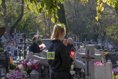 43411707_896772294044482_1162811766317514752_n