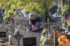 43419405_273162366644134_7917920004295622656_n