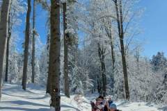 329859785_758453829038187_7628718751734038912_n