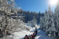 330316746_962295834934749_6479306770653819742_n