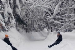 328911987_4115124598628966_3018961409735527604_n