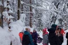 329895725_524436096424118_138244560270626585_n