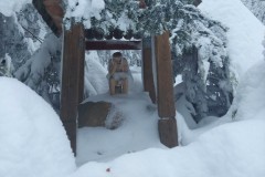 329926275_413094371020122_8192350963078054242_n