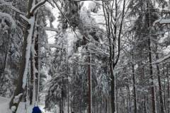 330031370_595435035731025_7763923004414054187_n