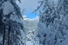 330038806_2394125037420396_3711532537137268051_n