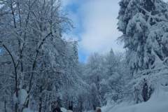 330053890_1170888670066097_7032795181603804778_n