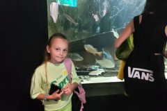 295312278_1301441363721748_5258476851135535751_n