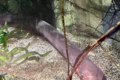 295682986_5439306836107968_633898403324787958_n