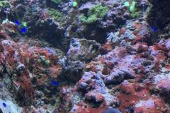 296032817_7847997825271507_3848368091031131964_n