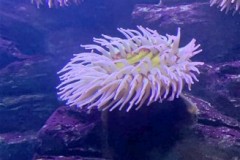 296130722_3233388903542594_1710779773677343266_n