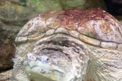 296246982_782652292758041_7271718538247872341_n