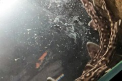 296247325_753625752623837_1235986673242583430_n