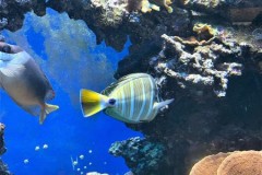 296274247_434169691992890_133033930767524760_n