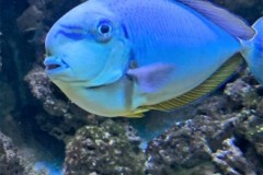 296296982_1082027189083380_416083155122889500_n