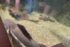 296298288_1211162779667786_4966526993940765887_n