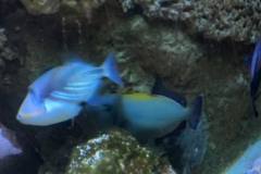 296321152_1773907432949845_5131605168213724863_n