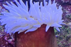 296336230_1260574721423049_2350313794877246160_n