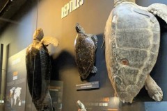 296350321_470042917863527_1803871403241603339_n