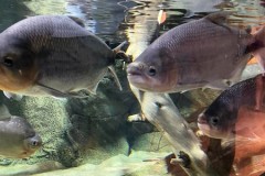 296350330_359975359636164_6518063891130046029_n