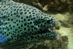 296365813_1499431457166383_5928530846125768705_n