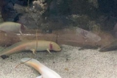 296369761_715535816178255_4331825134594758792_n