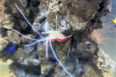 296375401_1406199439879123_3813056997457404082_n